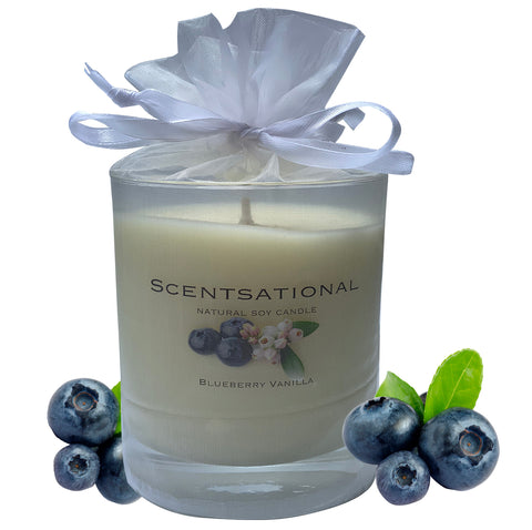 Image of Scented Soy Candles BLUEBERRY VANILLA (11 oz) eliminates smoke, household and pet odors.