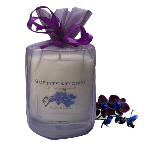 Image of Scented Soy Candles BLACK ORCHID (11 oz) eliminates smoke, household and pet odors.