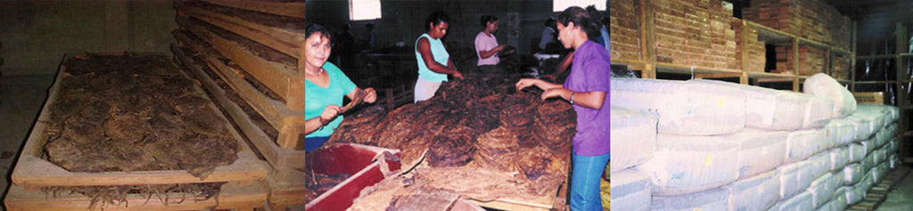 TOBACCO AGING
