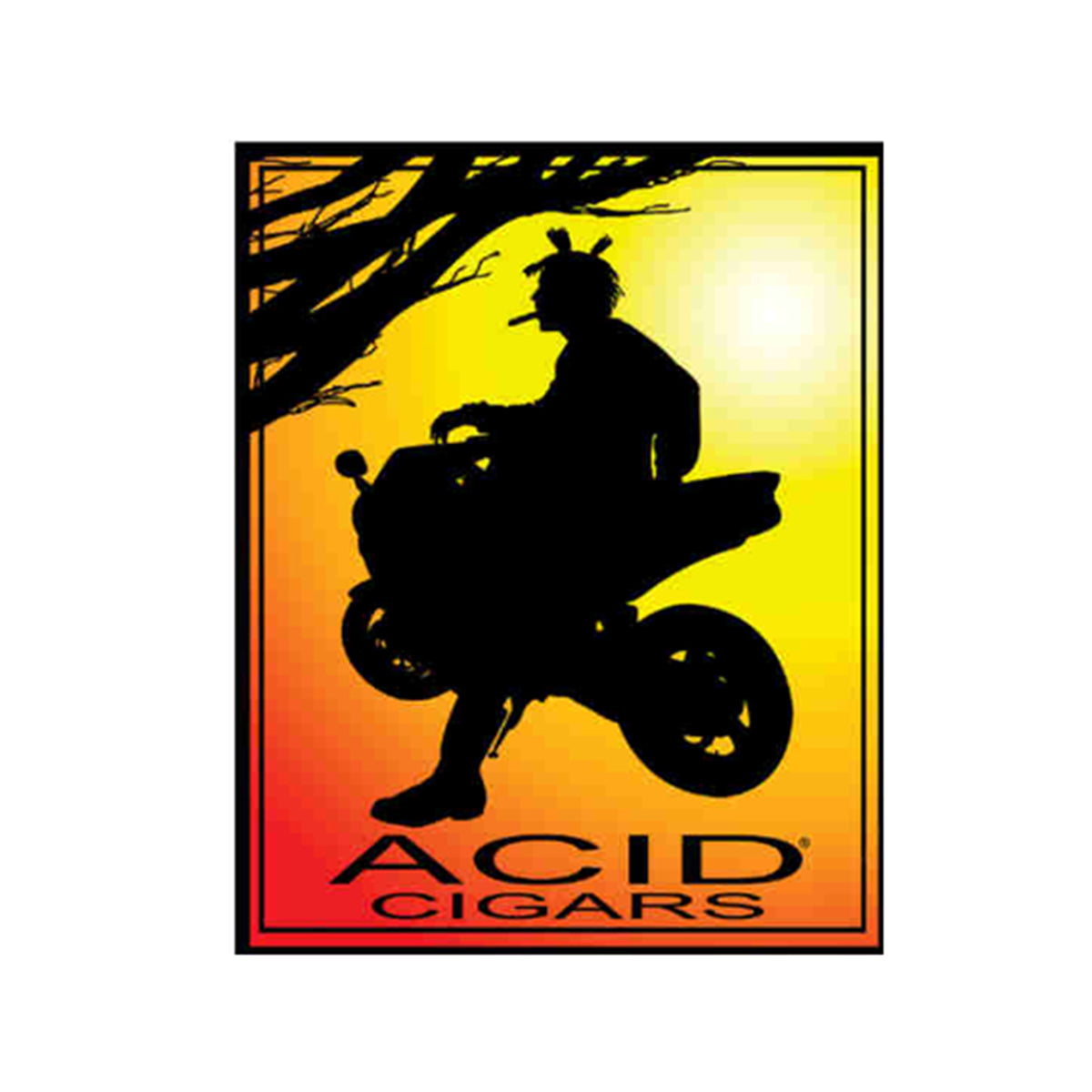 Acid YELLOW HOLISTICS "Boxes and Singles"