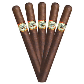 Tatiana - Cigar boulevard