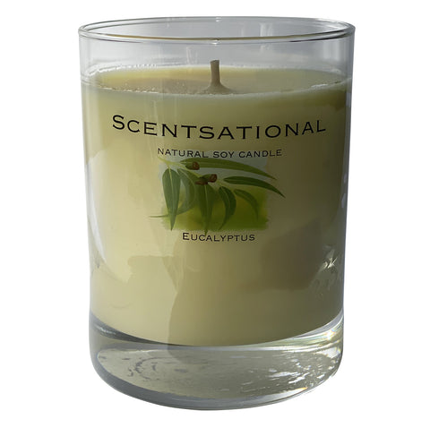 Image of Scented Soy Candles EUCALYPTUS (11 oz) eliminates smoke, household and pet odors. - Cigar boulevard