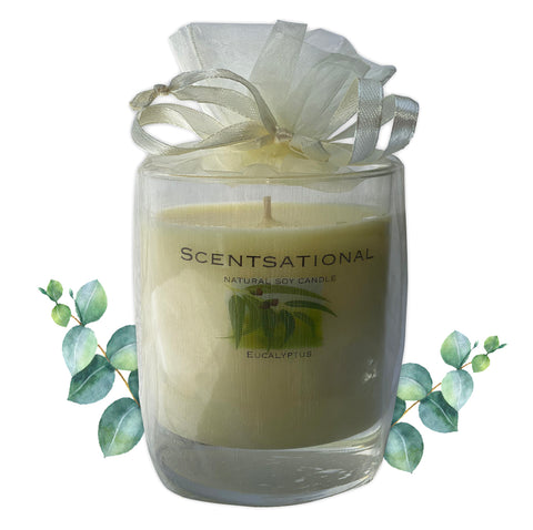 Image of Scented Soy Candles EUCALYPTUS (11 oz) eliminates smoke, household and pet odors. - Cigar boulevard