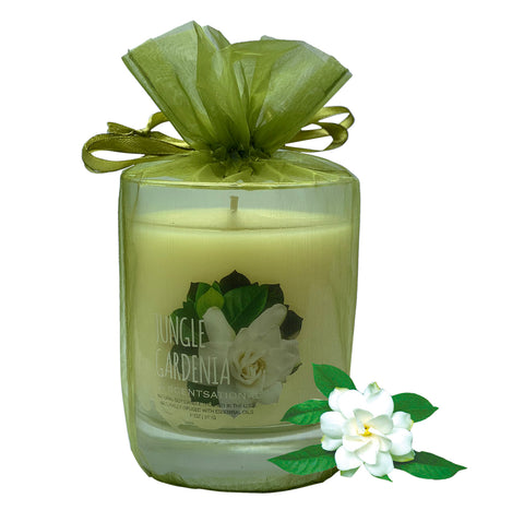 Image of Scented Soy Candles GARDENIA (11 oz) eliminates smoke, household and pet odors.